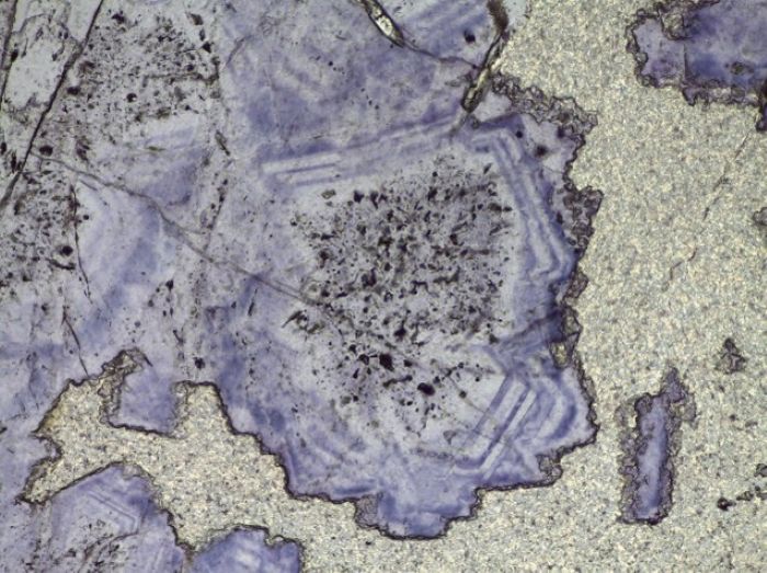 Fluid inclusions rich core in fluorite, Ilímaussaq complex, Greenland